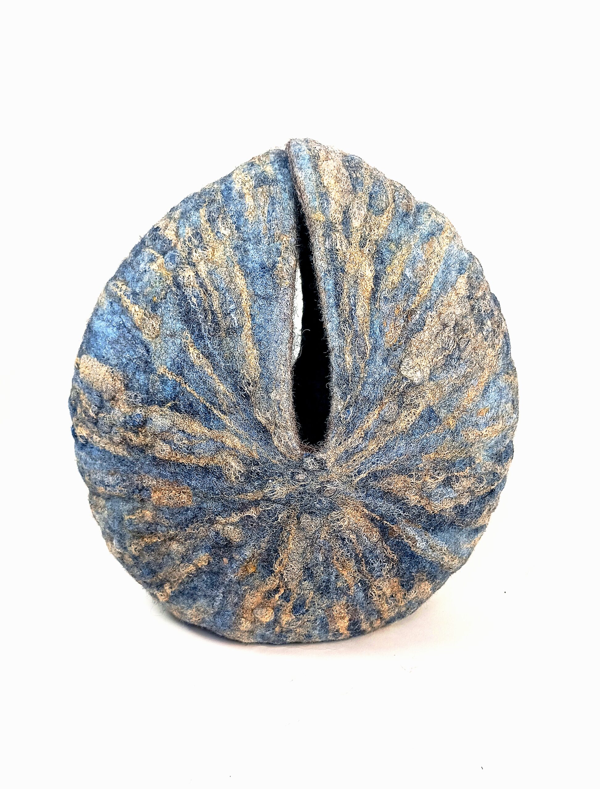 Nautile feutre Bleu Or